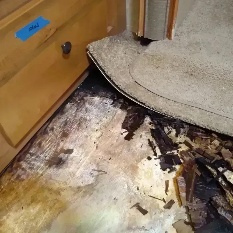 Wood Floor Water Damage in Harper County, OK